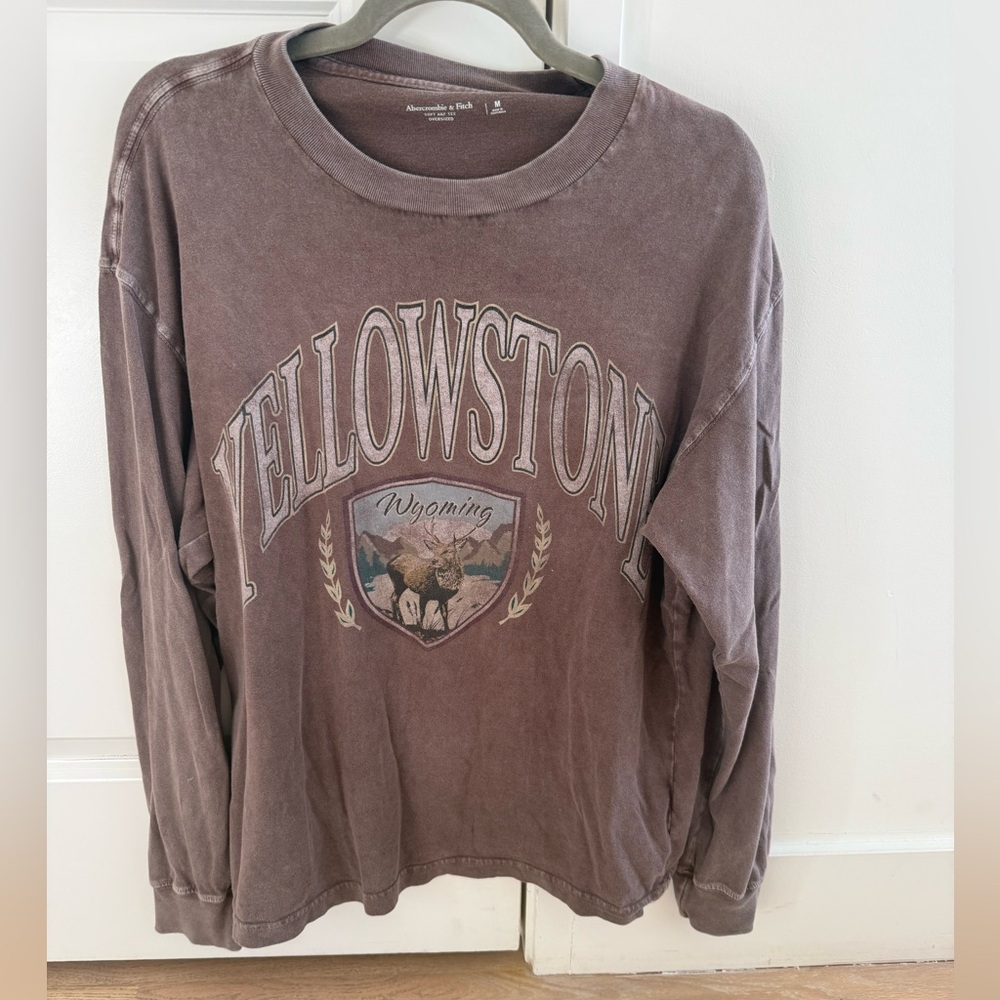 Abercrombie Yellowstone Wyoming Graphic Long Sleeve Tee -